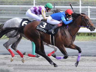 Another Win For Japan With Crown Pride Taking Home The Gr.2 ... Image 1